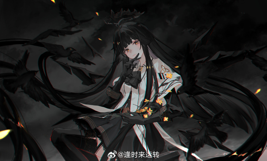 1girl absurdly_long_hair animal antenna_hair arknights artist_name ascot belt belt_buckle bird black_ascot black_belt black_garter_straps black_gloves black_hair black_halo black_skirt black_thighhighs black_wings blunt_bangs blurry blurry_background blurry_foreground breasts broken_halo buckle bustier buttons chinese_commentary chromatic_aberration closed_mouth clouds coat collared_coat colored_inner_hair commentary_request crow dark_halo depth_of_field detached_wings energy_wings eyelashes feet_out_of_frame floating_hair flower from_side garter_straps gloves grey_eyes grey_hair grey_shirt halo hand_to_own_mouth hand_up head_down highres hime_cut holding holding_flower lace-trimmed_skirt lace_trim layered_clothes layered_sleeves light_smile lips long_hair long_sleeves looking_at_viewer looking_to_the_side miniskirt multicolored_hair outdoors overcast pale_skin pleated_skirt shirt short_over_long_sleeves short_sleeves sidelocks skirt sky small_breasts solo standing straight_hair strap tailcoat thigh-highs till-valhalla two-tone_hair untucked_shirt very_long_hair virtuosa_(arknights) watermark weibo_logo weibo_watermark white_coat wide_sleeves wing_collar wings yellow_flower yellow_pupils zettai_ryouiki