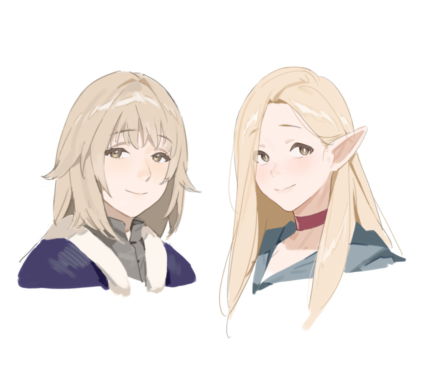 2girls absurdres blonde_hair bright_pupils brown_eyes brown_hair choker closed_mouth cropped_shoulders dungeon_meshi elf falin_touden falin_touden_(tallman) green_eyes hair_behind_ear hair_down highres light_blush long_hair looking_at_viewer marcille_donato medium_hair multiple_girls pointy_ears red_choker simple_background smile white_background white_pupils yi_shin_jian