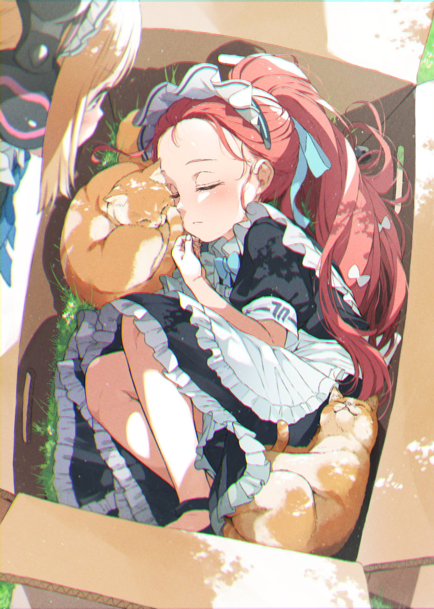 2girls animal animal_ear_headphones animal_ears apron black_dress blonde_hair blue_archive blush box cat closed_eyes closed_mouth dress fake_animal_ears frilled_apron frilled_dress frills gomennasai headphones highres in_box in_container long_hair lying maid maid_headdress momoi_(blue_archive) multiple_girls on_side puffy_short_sleeves puffy_sleeves red_eyes redhead short_hair short_sleeves sleeping white_apron yuzu_(blue_archive) yuzu_(maid)_(blue_archive)