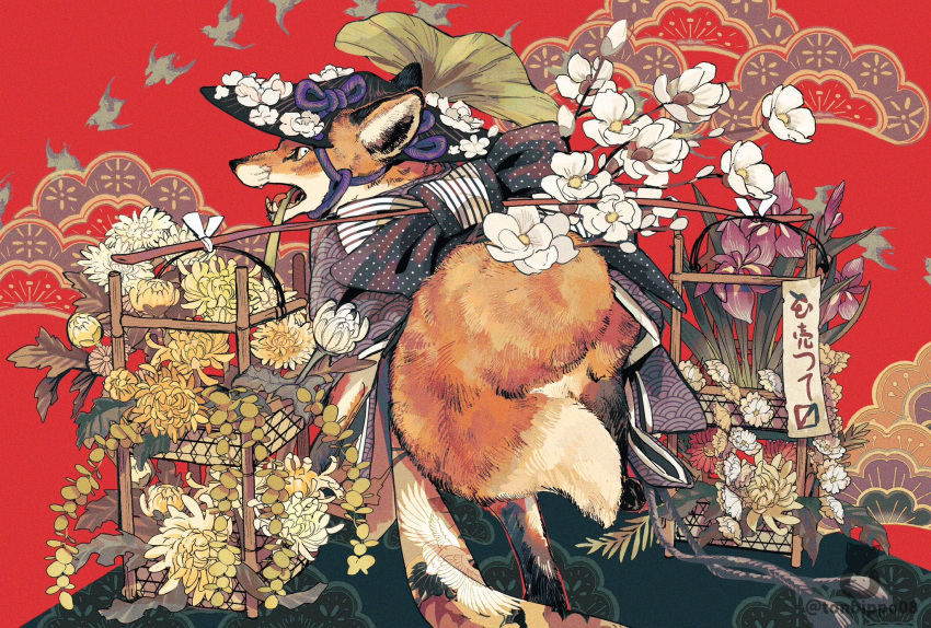 animal animal_focus back_bow black_hat bow carrying_pole clothed_animal flower fox full_body hat hat_flower highres jingasa leaf looking_at_viewer looking_back mouth_hold no_humans open_mouth original polka_dot polka_dot_bow red_background seigaiha simple_bird solo tassel tonbippo08 twitter_username white_eyes white_flower yellow_flower
