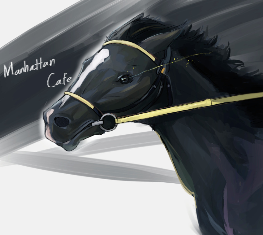 absurdres animal animal_ears black_fur black_hair character_name highres horse long_hair looking_at_viewer manhattan_cafe_(racehorse) real_life reins seung-aeja solo white_background white_fur yellow_eyes