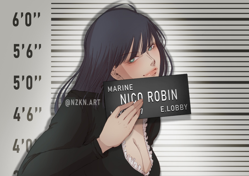 1girl artist_name barbie_mugshot_(meme) black_hair blue_eyes blunt_bangs character_name closed_mouth commentary english_commentary english_text height_chart height_mark highres holding holding_sign instagram_username long_hair looking_at_viewer meme mugshot nameplate nico_robin nzkn one_piece sign smile solo