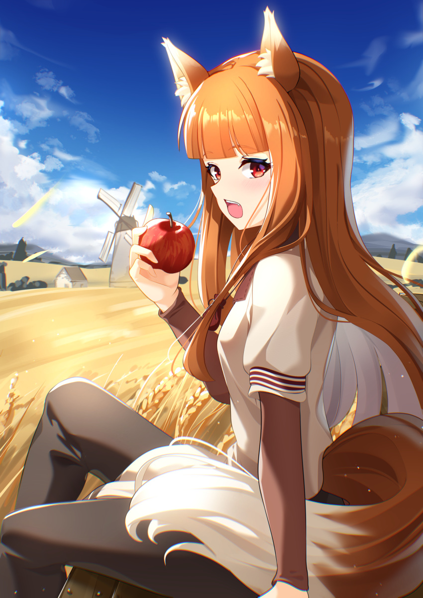 1girl absurdres animal_ear_fluff animal_ears apple black_pants blue_sky brown_hair clouds commentary_request day food fruit highres holding holding_food holding_fruit holo long_hair looking_at_viewer open_mouth outdoors pants red_eyes shirt sitting sky solo spice_and_wolf sunny_(20597521) tail teeth upper_teeth_only wheat_field white_shirt wolf_ears wolf_girl wolf_tail