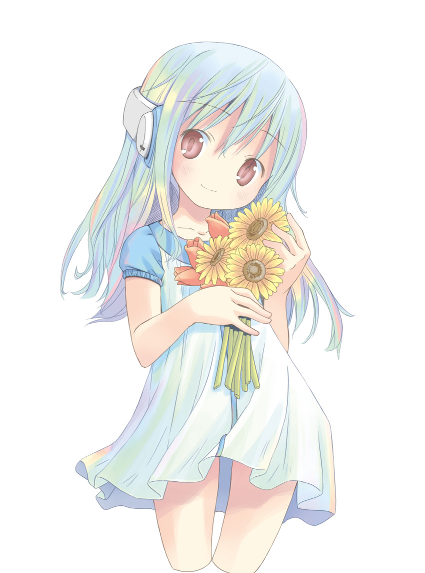 1girl absurdres blue_hair blush brown_eyes dress flat_chest flower flower_(kowarekake) headgear highres holding holding_flower kowarekake_no_orgel long_hair looking_at_viewer mother's_day pop_(electromagneticwave) simple_background smile solo sunflower white_background