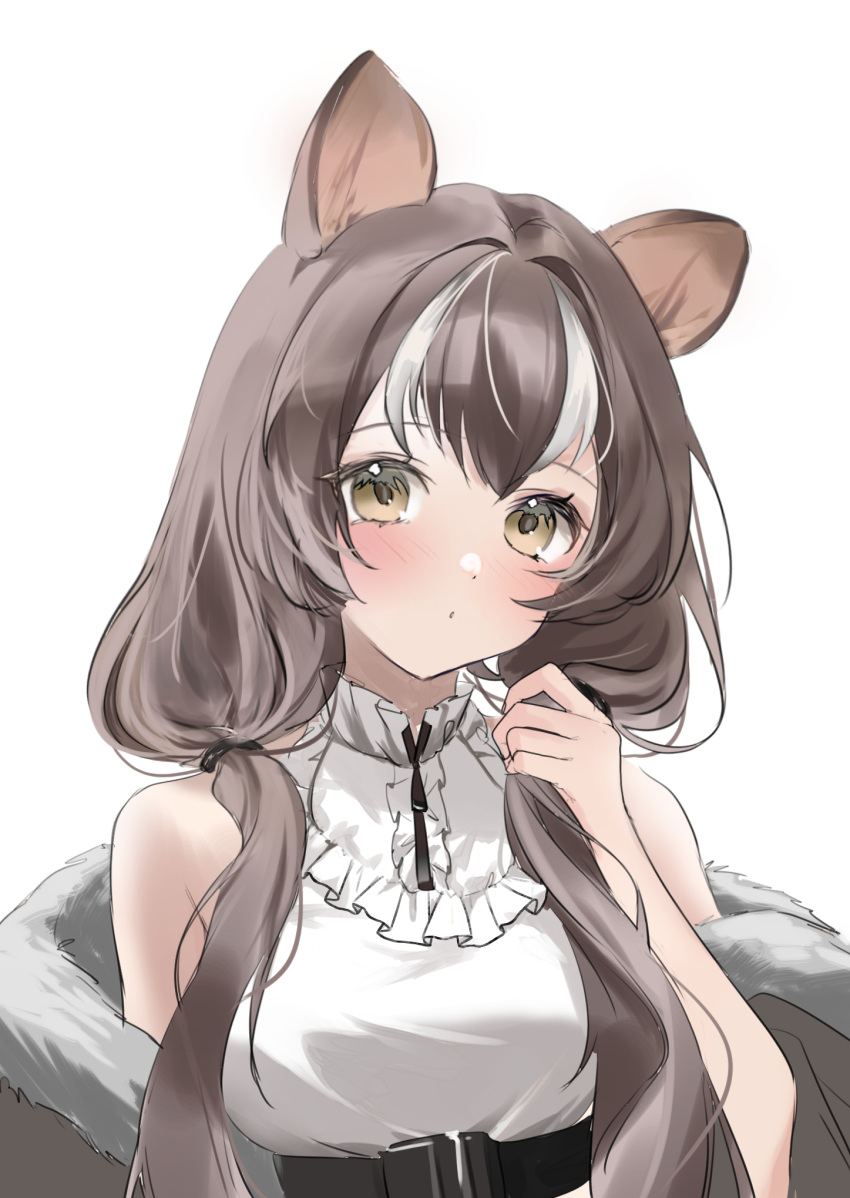 1girl animal_ears arknights bare_shoulders blush breasts brown_eyes brown_hair cat_ears cat_girl closed_mouth collared_shirt dot_nose fur-trimmed_jacket fur_trim grey_jacket hair_intakes hand_up highres holding holding_hair honeyberry_(arknights) jacket large_breasts looking_at_viewer low_twintails multicolored_hair off_shoulder portrait raramente shirt sidelocks simple_background sleeveless sleeveless_shirt solo streaked_hair twintails white_background white_hair white_shirt
