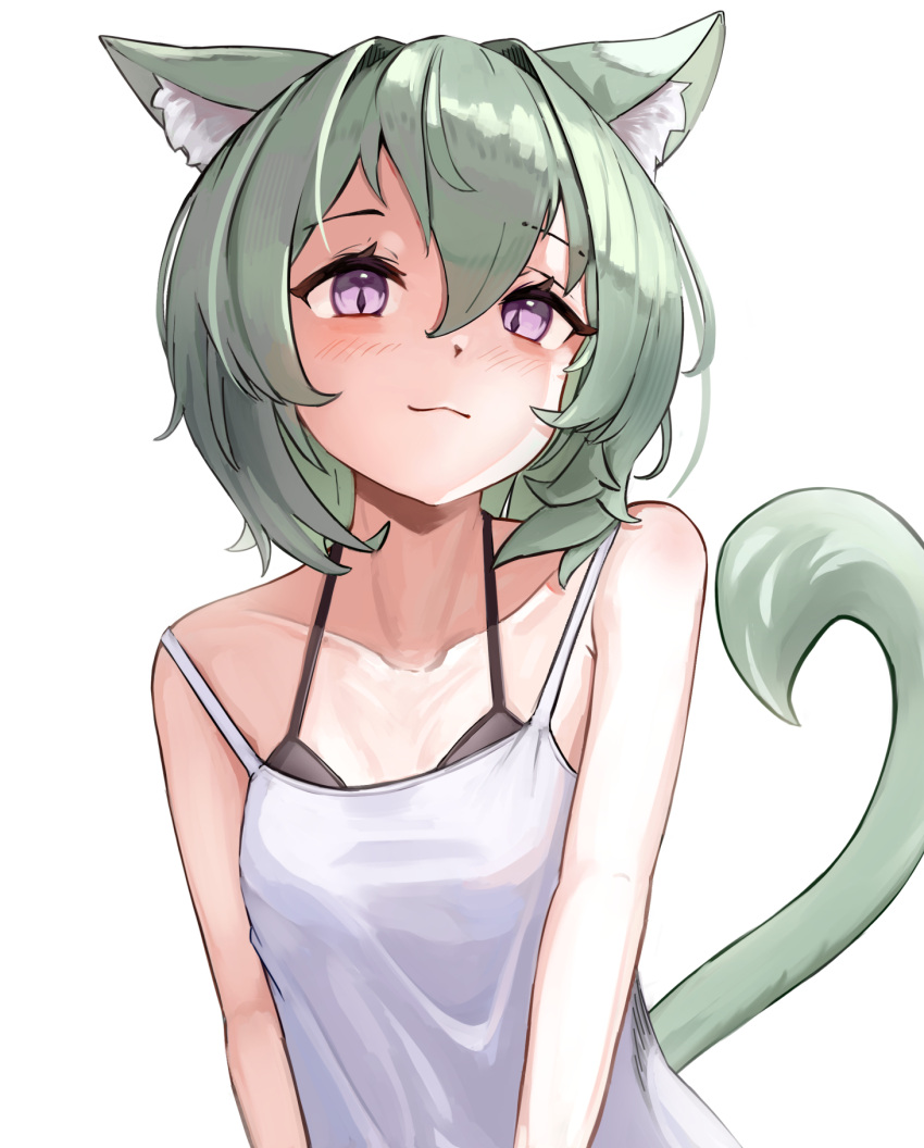 1girl animal_ear_fluff animal_ears black_bra bra breasts camisole cat_ears cat_girl cat_tail fosqie green_hair highres light_smile looking_at_viewer original short_hair simple_background small_breasts tail underwear violet_eyes white_background white_camisole