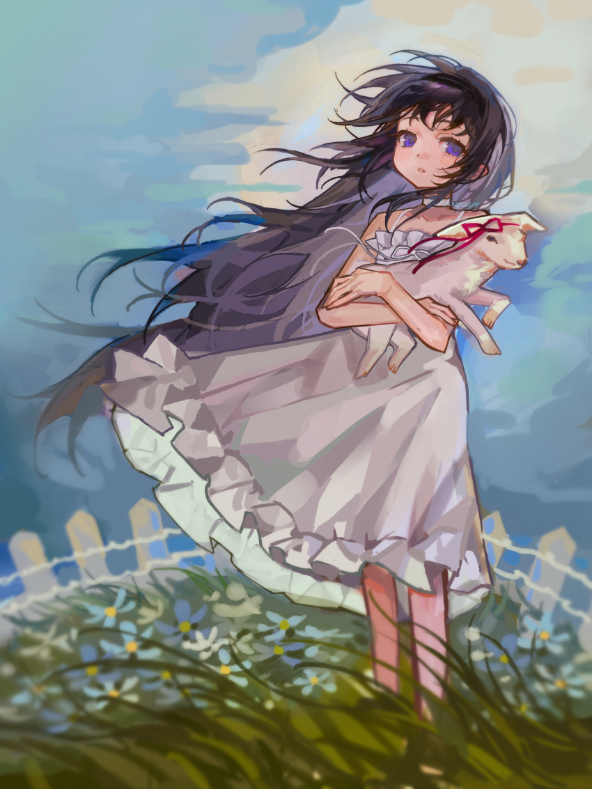 1girl absurdres akemi_homura animal artist_name bare_arms bare_shoulders black_hair black_hairband blue_flower blue_sky chinese_commentary choker clouds collarbone commentary_request crossed_arms day dress expressionless feet_out_of_frame fence floating_hair flower frilled_dress frills grass hairband highres holding holding_animal lamb long_hair looking_at_viewer mahou_shoujo_madoka_magica mahou_shoujo_madoka_magica_(anime) outdoors parted_lips sheep shixiaoqina signature sky solo standing sundress violet_eyes white_choker white_dress white_fence wind