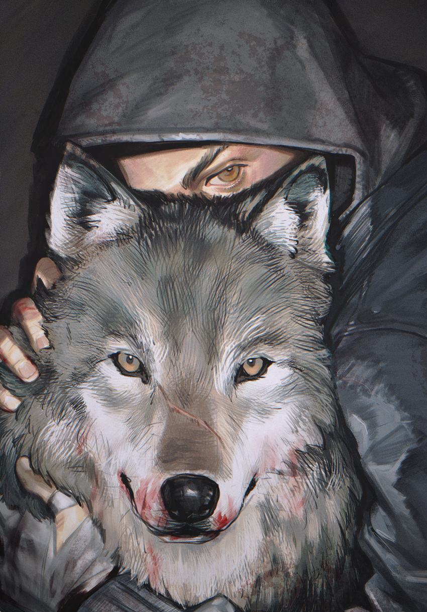 1boy animal black_hoodie blood blood_on_hands blood_on_mouth brown_eyes c2h4_(1849155751) dead_by_daylight hand_on_another's_head highres hood hoodie looking_at_viewer male_focus peeking_out portrait scar scar_on_face spotlight wolf yellow_eyes