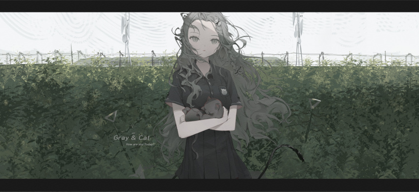 1girl animal black_shirt cat collared_shirt commentary dated_commentary dd9 dress_shirt english_commentary english_text grey_hair hair_ornament highres holding holding_animal letterboxed long_hair original outdoors shirt short_sleeves solo wind