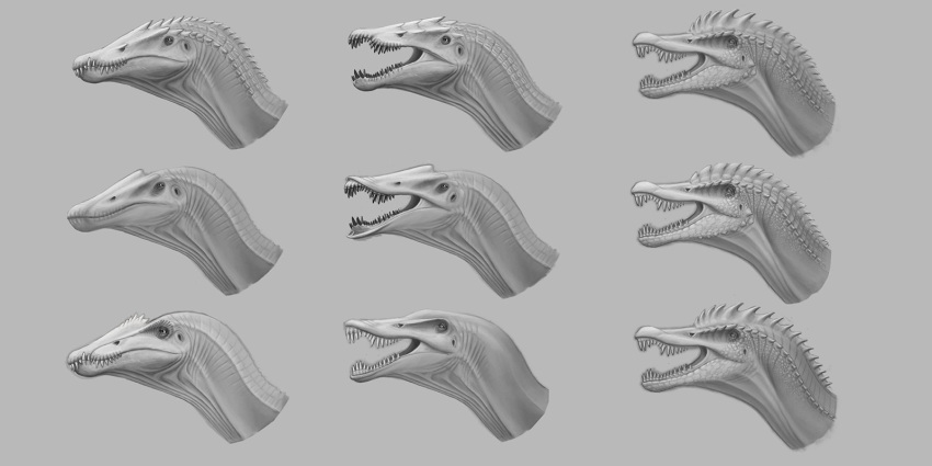 animal animal_focus art_study buccal_flap commentary concept_art conical_teeth english_commentary from_side grey_background greyscale highres lukatrkanjec monochrome no_humans open_mouth original paleoart realistic sharp_teeth simple_background solo spinosaurus teeth