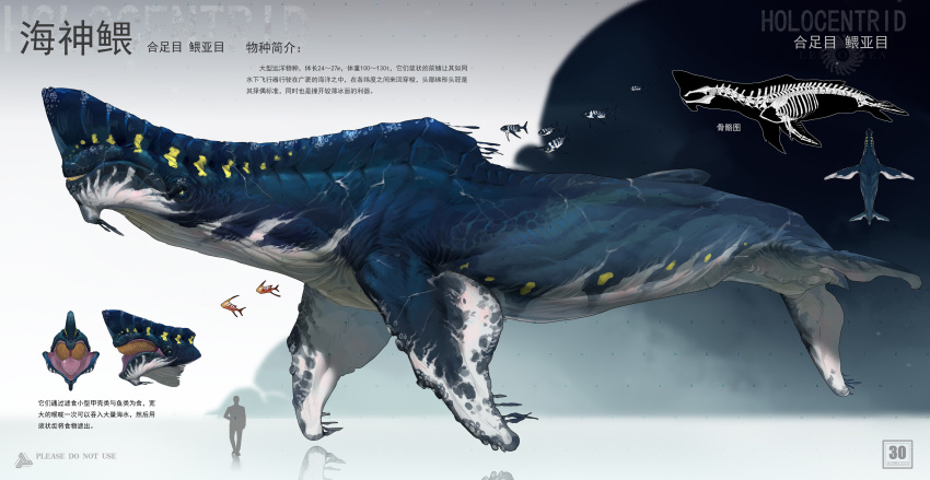 absurdres animal_focus chasemakouchi chinese_text fins fish from_side full_body giant giant_monster highres monster multiple_views no_humans open_mouth original profile reference_sheet scar sea_monster silhouette size_comparison skeleton translation_request