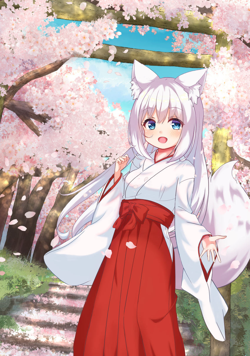 1girl :d absurdres animal_ears blue_sky bow branch breasts clouds commentary_request day flower fox_ears fox_girl fox_tail hair_between_eyes hakama hakama_skirt highres hip_vent japanese_clothes kimono long_hair long_sleeves looking_at_viewer miko open_mouth original outdoors petals pink_flower red_bow red_hakama rodo_(oekakisyakaijin) skirt sky small_breasts smile solo stairs stone_stairs tail tree very_long_hair white_hair white_kimono wide_sleeves
