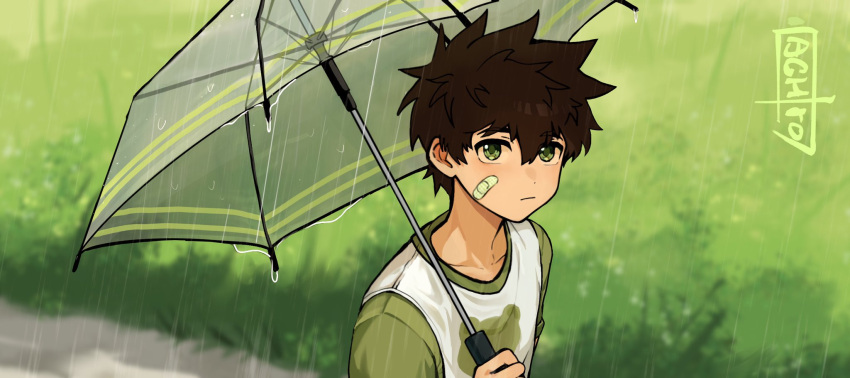 1boy achirocz animal_print artist_name bandaid bandaid_on_cheek bandaid_on_face blurry blurry_background brown_hair camp_buddy closed_mouth frog_print green_background hair_between_eyes highres holding holding_umbrella looking_at_viewer male_focus nagame_keitaro outdoors rain shirt solo transparent transparent_umbrella two-tone_shirt umbrella upper_body