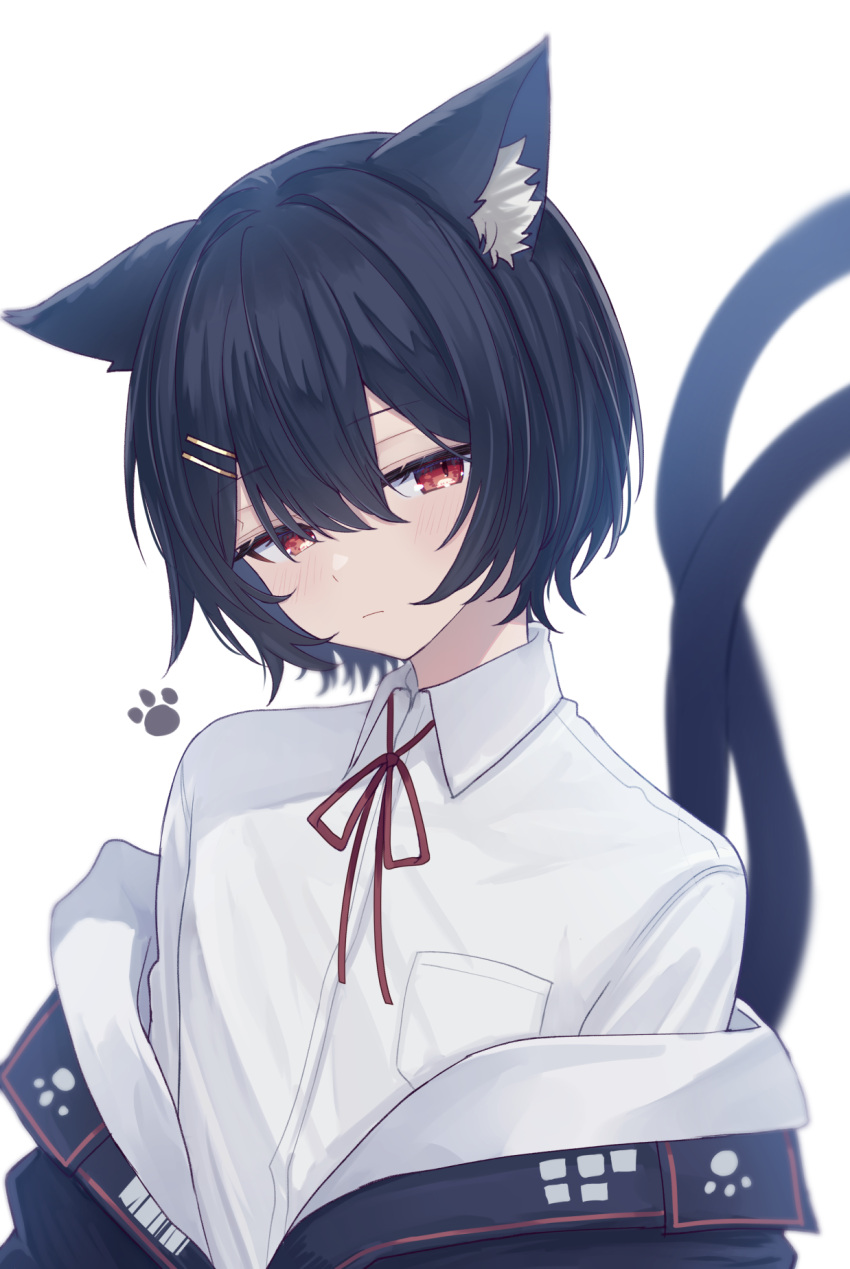 1boy alternate_hair_length alternate_hairstyle animal_ears black_hair black_jacket breast_pocket cat_boy cat_ears cat_tail chisuzu_mei chucolala closed_mouth collared_shirt commentary_request expressionless genderswap genderswap_(ftm) hair_ornament hairclip highres jacket jitome looking_at_viewer male_focus multiple_tails neck_ribbon off_shoulder otoko_no_ko paw_print pocket red_eyes red_ribbon ribbon sese_nagi shirt short_hair simple_background solo tail transparent_background two_tails upper_body virtual_youtuber white_shirt