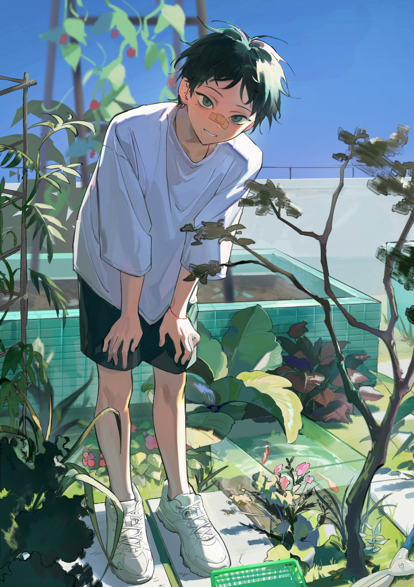 1boy absurdres bandaid bandaid_on_face black_hair black_shorts blue_sky blush chenpeipeiii flower hands_on_own_knees highres leaf leaning_forward looking_at_viewer looking_up male_focus mole mole_under_eye mole_under_mouth nose_blush original oversized_clothes railing rooftop shirt short_hair shorts sky smile summer white_shirt white_sneakers