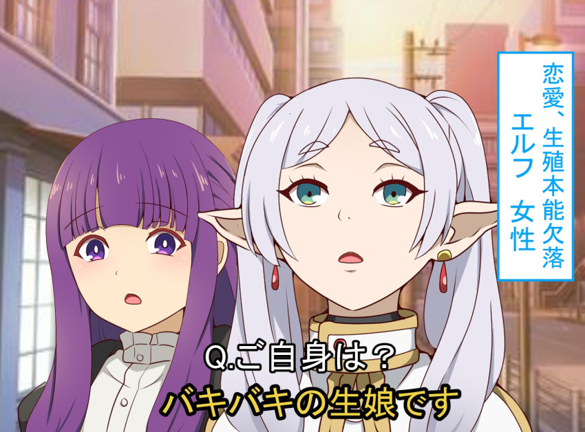 2girls blunt_bangs blurry commentary_request dangle_earrings depth_of_field earrings elf fern_(sousou_no_frieren) forehead frieren green_eyes grey_hair jewelry long_hair long_sleeves looking_at_another looking_at_viewer multiple_girls outdoors parody_request parted_bangs parted_lips pointy_ears purple_hair sidelocks sousou_no_frieren surprised suwaneko thick_eyebrows translation_request twintails violet_eyes