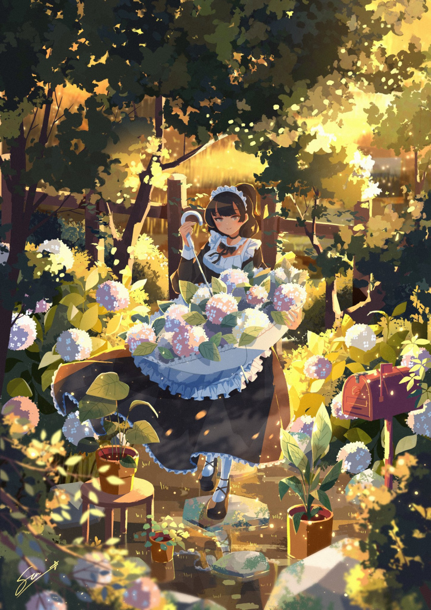 1girl apron atelier_umiyury backyard black_hair blunt_bangs bush commentary flower frilled_apron frills garden highres holding holding_umbrella hydrangea light_particles long_sleeves looking_at_viewer maid maid_apron maid_headdress mailbox_(incoming_mail) original outdoors plant potted_plant shoes short_hair signature solo standing sunlight tree umbrella watering_can