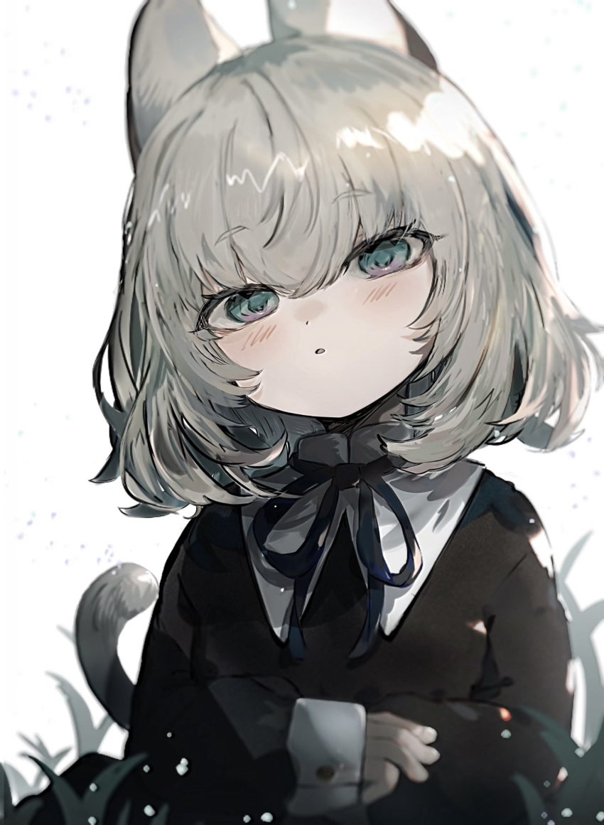 1girl animal_ears black_dress black_ribbon blue_eyes blush cat_ears cat_girl cat_tail dress grass grey_hair head_tilt highres imamiya_pinoko indie_virtual_youtuber light_particles long_sleeves looking_at_viewer medium_hair parted_lips ribbon sayonaka_(vtuber) simple_background sleeve_cuffs sleeves_past_wrists solo tail upper_body virtual_youtuber white_background