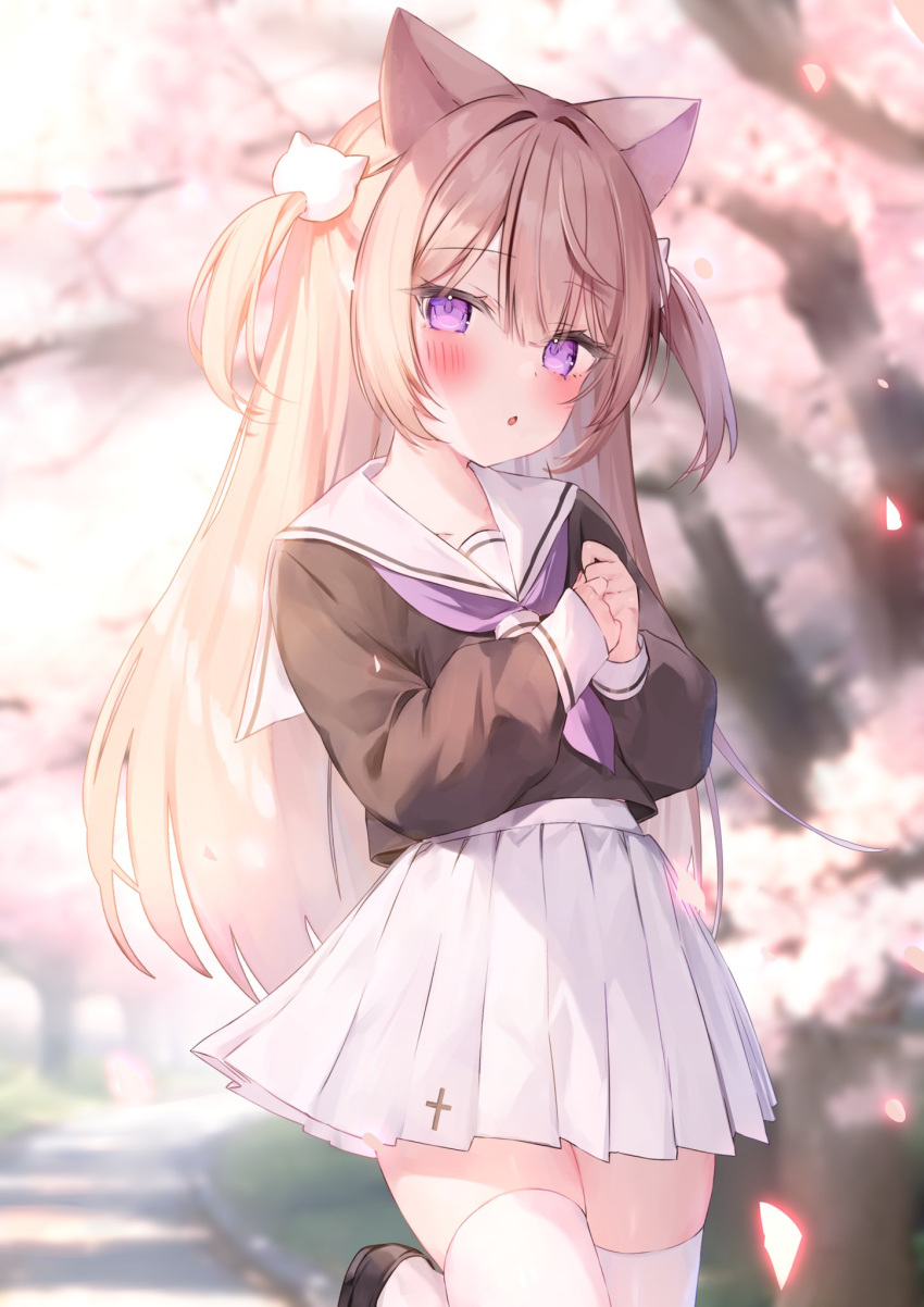 1girl :o animal_ears black_shirt blurry blurry_background blush cat_ears cat_girl cherry_blossoms commission day falling_petals foot_up hair_between_eyes hair_intakes hakua_aa highres knees_together_feet_apart light_brown_hair long_hair long_sleeves looking_at_viewer miniskirt neckerchief open_mouth original outdoors own_hands_together petals pleated_skirt purple_neckerchief sailor_collar school_uniform serafuku shirt sidelocks skeb_commission skirt solo standing thigh-highs two_side_up violet_eyes white_sailor_collar white_skirt white_thighhighs zettai_ryouiki