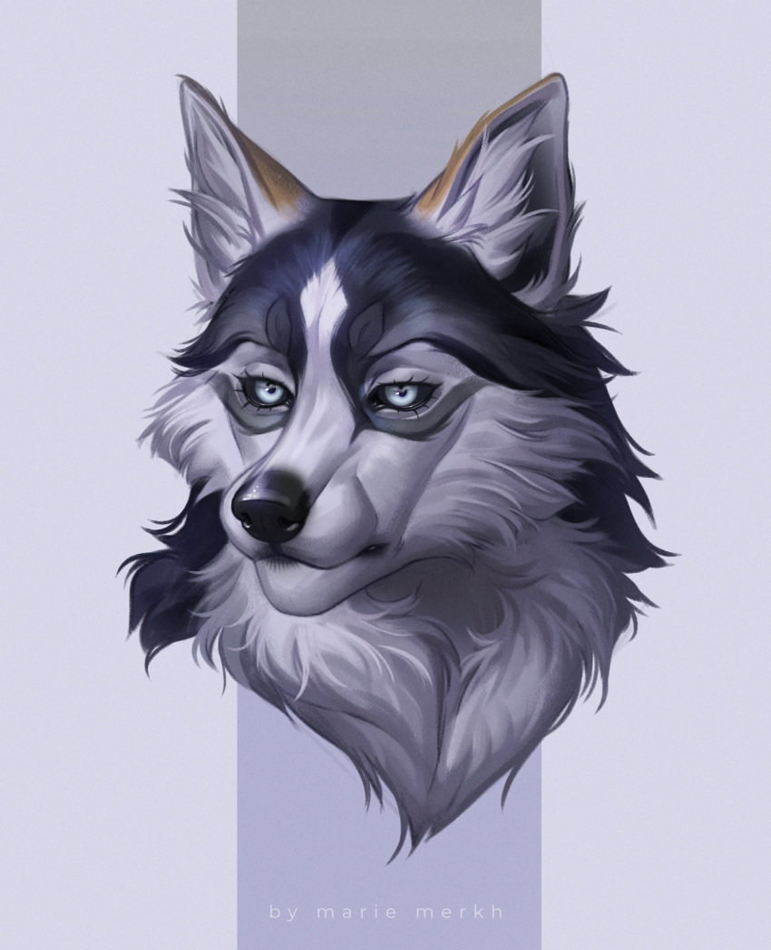 absurdres animal_ears artist_name black_fur black_sclera colored_sclera grey_background grey_eyes grey_fur highres looking_at_viewer marie_merkh no_humans original portrait solo two-tone_background two-tone_fur white_background wolf wolf_ears