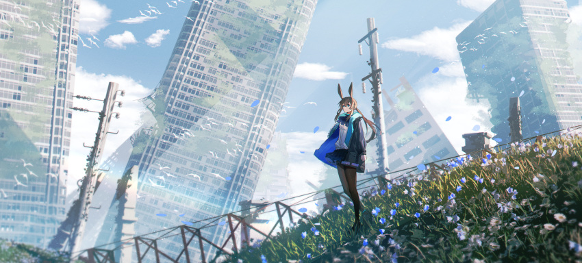 1girl abandoned absurdres amiya_(arknights) animal_ears arknights ascot bird black_jacket blue_ascot blue_eyes brown_hair building city clouds commentary_request falling_petals flower grass haku_(muc12b) highres hood hooded_jacket jacket long_hair low_ponytail outdoors pantyhose petals pleated_skirt rabbit_ears rabbit_girl scenery shirt sidelocks skirt skyscraper solo standing utility_pole white_shirt