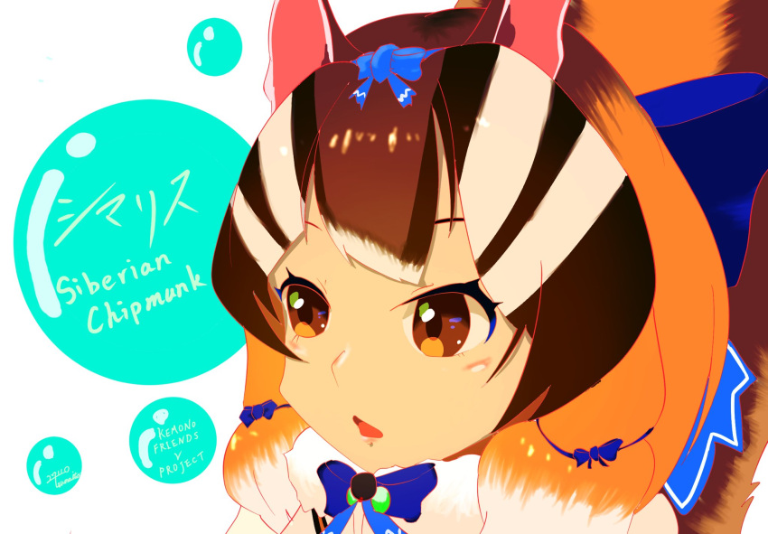 1girl animal_ears blue_ribbon brown_eyes brown_hair chipmunk_ears chipmunk_girl chipmunk_tail extra_ears grey_hair highres kemono_friends kemono_friends_v_project microphone multicolored_hair ribbon scarf short_hair siberian_chipmunk_(kemono_friends) simple_background solo tail tsuna_ito27110 two-tone_hair upper_body virtual_youtuber