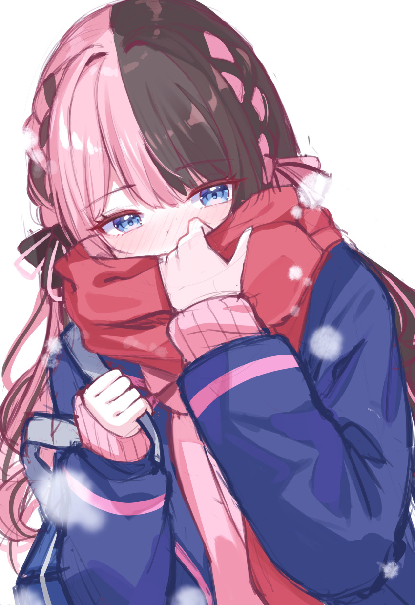 1girl absurdres black_bow blue_eyes blue_jacket blush bow braid brown_hair dutch_angle hair_bow hair_intakes hand_up highres jacket long_hair long_sleeves looking_at_viewer multicolored_hair nose_blush open_clothes open_jacket pink_hair pink_sweater red_scarf ribbed_sweater scarf shinshia_(sinsia_0928) sidelocks simple_background sleeves_past_wrists solo straight_hair sweater tachibana_hinano_(vtuber) two-tone_hair upper_body virtual_youtuber vspo! white_background