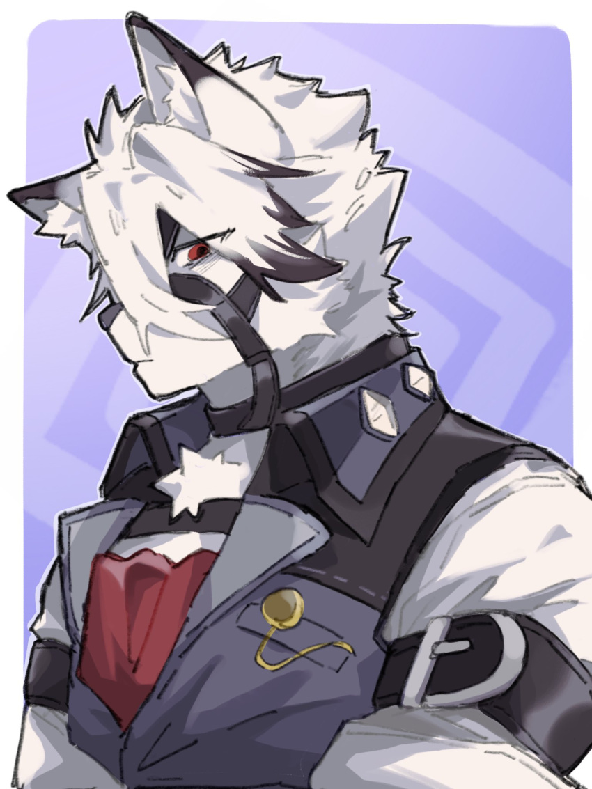 1boy animal_ears ascot colored_tips commentary_request furry furry_male grey_vest hdmxyxbxk_(sho) highres looking_at_viewer male_focus multicolored_hair profile red_ascot red_eyes shirt upper_body vest von_lycaon white_shirt wolf_boy wolf_ears zenless_zone_zero