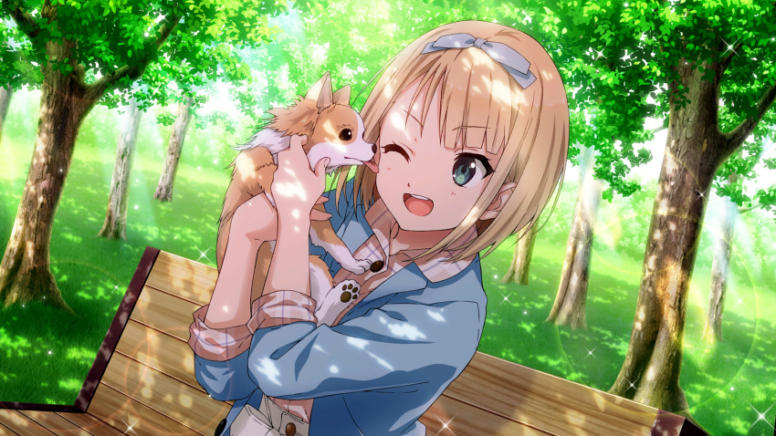 1girl 22/7 22/7_ongaku_no_jikan animal bench blonde_hair blue_hairband blue_jacket blue_ribbon blurry brown_dog chihuahua collared_shirt dappled_sunlight depth_of_field dog dutch_angle game_cg grass green_eyes hair_ribbon hairband highres holding holding_animal holding_dog jacket lens_flare licking licking_another's_cheek licking_another's_face light_particles looking_at_animal non-web_source official_art on_bench one_eye_closed open_mouth outdoors park park_bench pawpads pencil_skirt pink_shirt plaid plaid_shirt ribbon saito_nicole shirt sitting skirt smile solo sparkle sunlight teeth tree tree_shade upper_body upper_teeth_only white_skirt wooden_bench