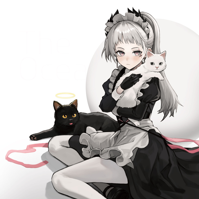 1girl animal apron arknights beruko14 black_cat black_dress black_gloves blush cat closed_mouth dress feet_out_of_frame frilled_apron frills gloves grey_eyes grey_hair halo highres holding holding_animal holding_cat irene_(arknights) irene_(voyage_of_feathers)_(arknights) juliet_sleeves long_hair long_sleeves looking_at_viewer maid maid_headdress official_alternate_costume pantyhose pink_eyes pink_ribbon ponytail puffy_sleeves ribbon scar scar_across_eye solo waist_apron white_apron white_background white_cat white_pantyhose yellow_halo