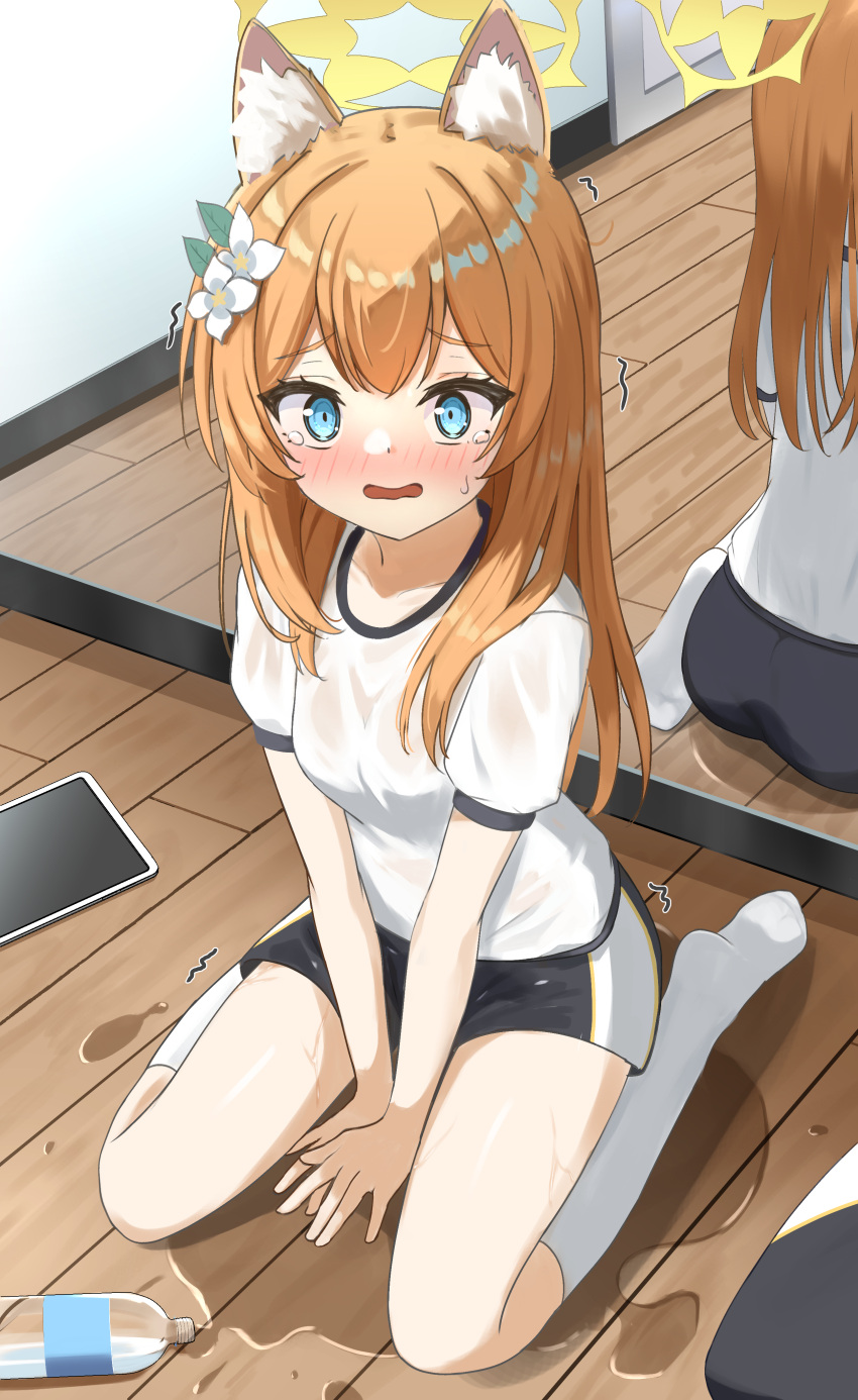 1girl absurdres animal_ears ass blue_archive blue_eyes blush bottle breasts cat_ears cpk_prd flower gym_uniform hair_between_eyes hair_flower hair_ornament halo highres kneehighs looking_at_viewer mari_(blue_archive) mari_(track)_(blue_archive) mirror open_mouth orange_hair seiza shorts sitting small_breasts socks solo tablet_pc tears water_bottle wet