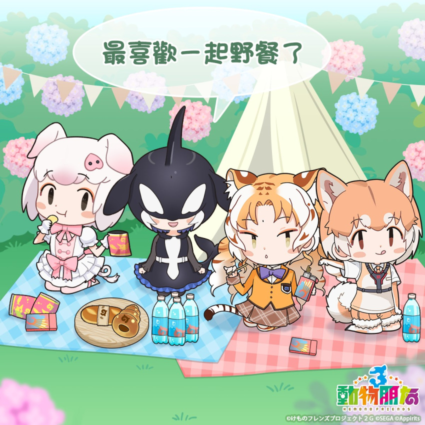 4girls animal_ears black_hair blazer blonde_hair bottle bow bowtie brown_hair cardigan cetacean_tail chinese_text copyright_name dog_(shiba_inu)_(kemono_friends) dog_ears dog_girl dog_tail dress elbow_gloves extra_ears fins fish_tail flower food gloves golden_tabby_tiger_(kemono_friends) hair_ornament head_fins highres hydrangea jacket kemono_friends kemono_friends_3 kurokw_(style) long_hair looking_at_viewer multiple_girls necktie official_art orca_(kemono_friends) orca_girl outdoors picnic pig_(kemono_friends) pig_ears pig_girl pig_tail pink_hair shirt shoes short_hair skirt tail tiger_ears tiger_girl tiger_tail translation_request