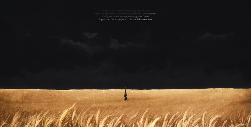 1boy absurdres album-aurum black_sky crown dark_background distant field german_text highres holding_wheat im_(one_piece) looking_at_viewer no_mouth one_piece outdoors silhouette sky solo standing wheat wheat_field white_eyes