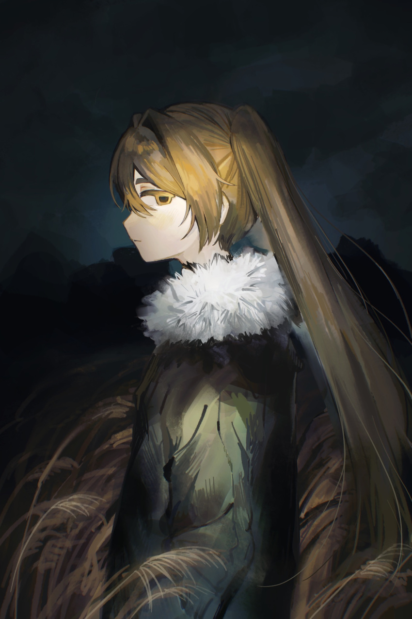 1girl :| arms_at_sides blonde_hair closed_mouth cowboy_shot dark expressionless from_side fur-trimmed_jacket fur_trim green_jacket hair_between_eyes hair_intakes highres inu_dakisime jacket long_hair long_sleeves looking_at_viewer night original outdoors profile sidelocks sideways_glance solo twintails very_long_hair wheat_field yellow_eyes