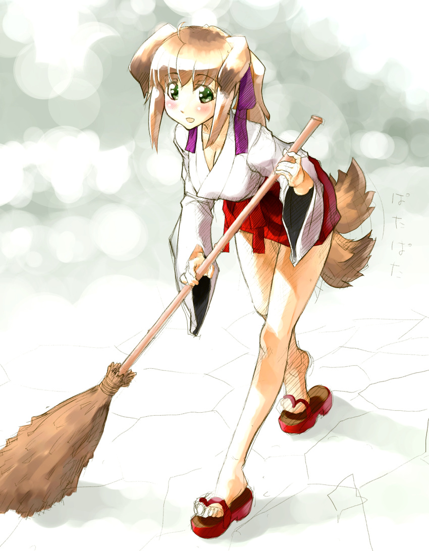 ahoge animal_ears blush breasts broom brown_hair cleaning cleavage dog_ears dog_tail green_eyes hakama_skirt highres japanese_clothes leaning_forward miko mimosa211 open_mouth original ribbon sandals simple_background sketch solo tail tail_wagging