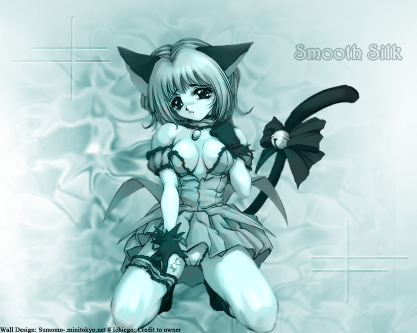 animal_ears cat_tail catgirl momomiya_ichigo panties tail tokyo_mew_mew underwear