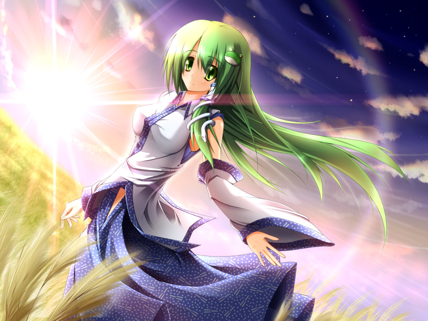 1girl detached_sleeves frog green_eyes green_hair hair_ornament highres kochiya_sanae long_hair long_skirt midori_shinzo midoriiro_no_shinzou skirt snake solo touhou wind