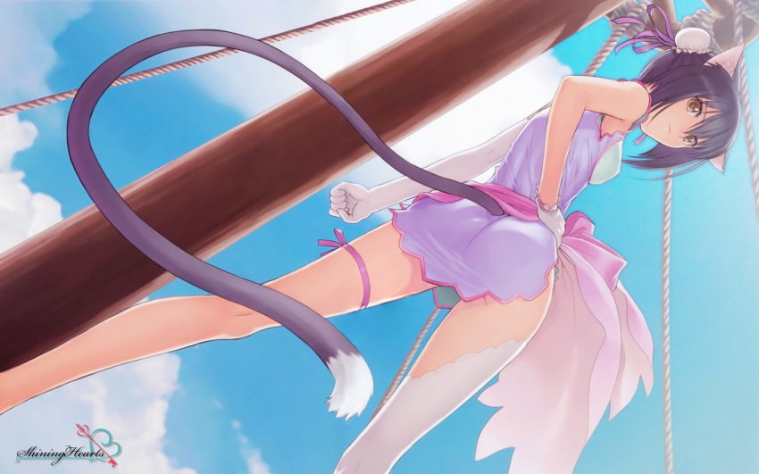 armpits ass asymmetrical_clothes black_hair brown_eyes bun_cover cat_ears cat_tail catgirl china_dress chinese_clothes cloud clouds double_bun dutch_angle flat_chest from_behind gloves hand_on_hip highres long_legs looking_back official_art outdoors ribbon rope shaomei_rin shining_(series) shining_hearts shining_world short_dress short_hair single_thighhigh sky smile solo standing tail taka_tony thigh_ribbon thigh_strap thighhighs wallpaper white_legwear yellow_eyes