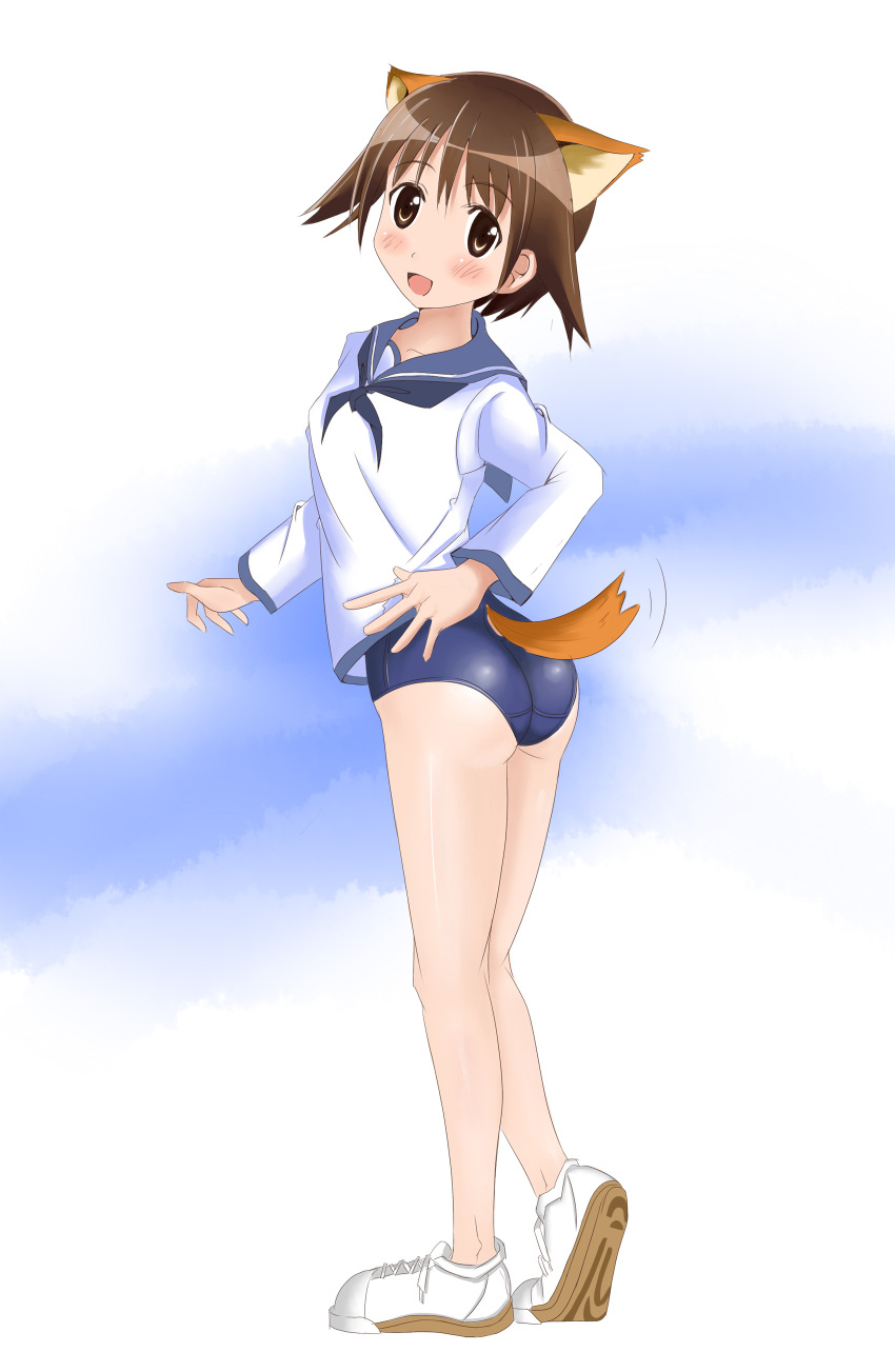 animal_ears brown_eyes brown_hair cat_ears highres looking_back miyafuji_yoshika neginuta no_socks sailor sailor_uniform school_swimsuit short_hair strike_witches swimsuit swimsuit_under_clothes tail tail_wagging