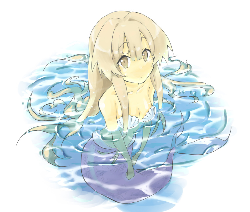 brown_hair highres kou_(ahondnara) mermaid monster_girl seto_no_hanayome seto_san seto_sun shell shell_bikini shell_bra submerged water