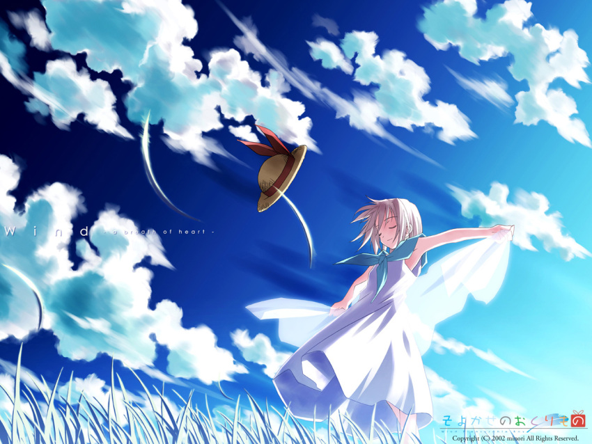 blue straw_hat tsukishiro_hikari wallpaper wind wind_a_breath_of_heart