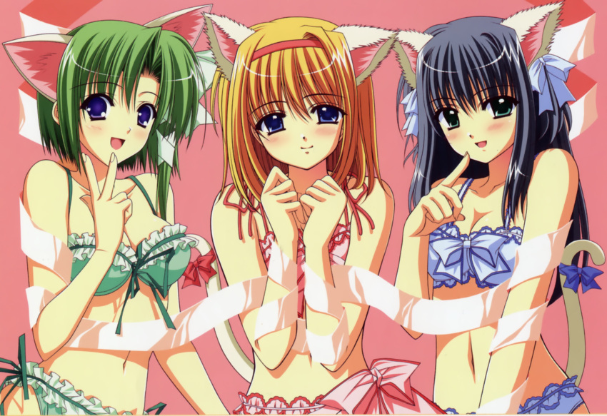 blue_eyes blush cat_ears fuyou_kaede green_eyes highres lingerie nishimata_aoi official_art really?_really! ribbon shigure_asa shuffle shuffle! smile suzuhira_hiro tail underwear yae_sakura