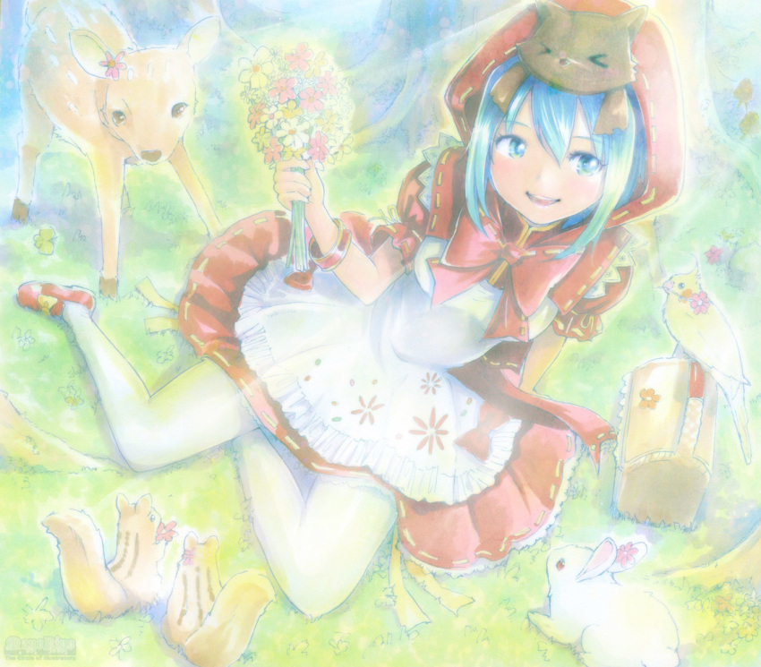 bird blue_eyes blue_hair bouquet bunny deer flower grimm's_fairy_tales hatsune_miku hood little_red_riding_hood little_red_riding_hood_(grimm) mayo_riyo pantyhose project_diva project_diva_2nd rabbit sitting squirrel vocaloid