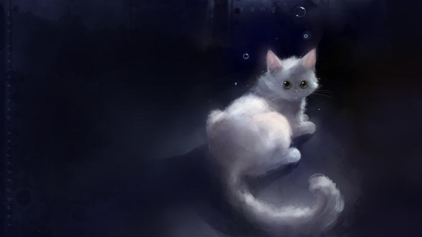 1920x1080 animal apofiss black bubbles cat feline green_eyes looking_at_viewer looking_back wallpaper whiskers white widescreen