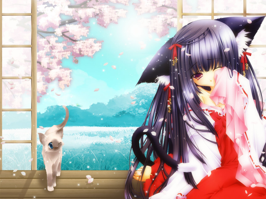 animal animal_ears cat cherry_blossoms flower japanese_clothes jpeg_artifacts long_hair miko orbit petals tail