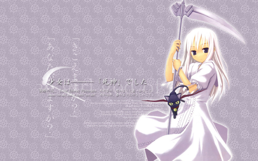 cat daniel_(shinigami_no_ballad) highres momo momo_(shinigami_no_ballad) nanakusa scythe shinigami_no_ballad wallpaper white_hair