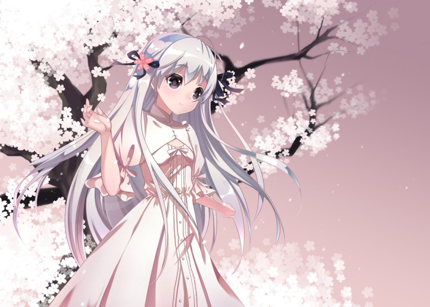 brown_eyes cherry_blossoms dress kasugano_sora long_hair original pink ribbon silver_hair tree yosuga_no_sora ysrandy