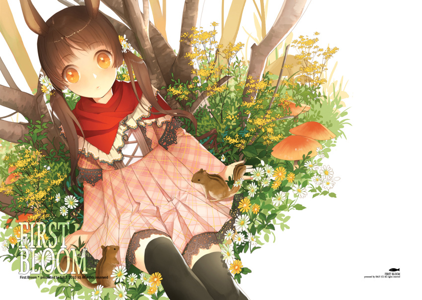 animal_ears dress flowers original salty thighhighs twintails