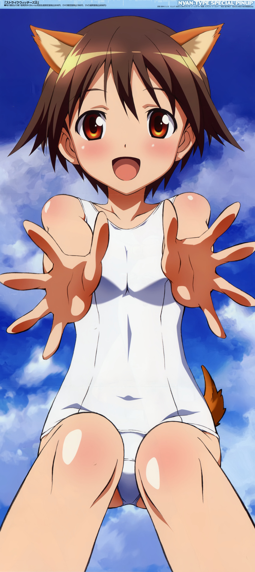 absurdres animal_ears brown_eyes brown_hair dog_ears foreshortening fujimoto_satoru hands highres long_image miyafuji_yoshika nyantype official_art one-piece_swimsuit open_mouth reaching school_swimsuit short_hair solo stick_poster strike_witches swimsuit tail tall_image white_school_swimsuit