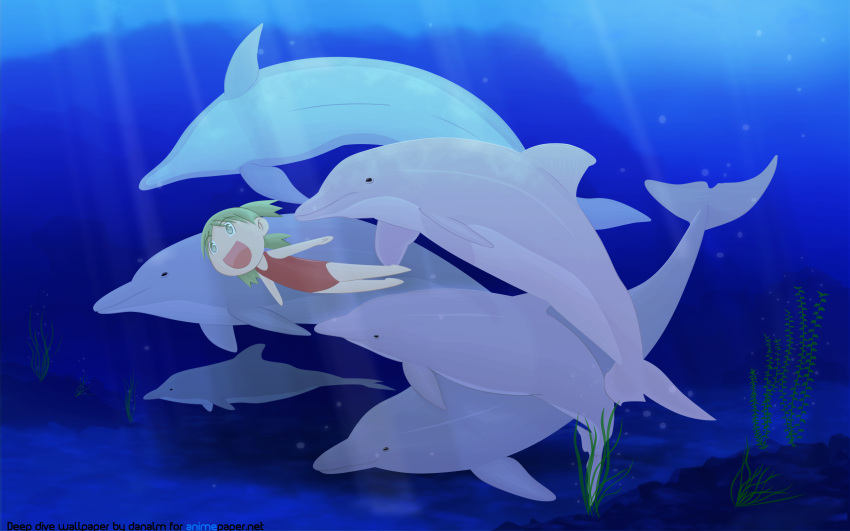 dolphin koiwai_yotsuba tagme underwater yotsubato!